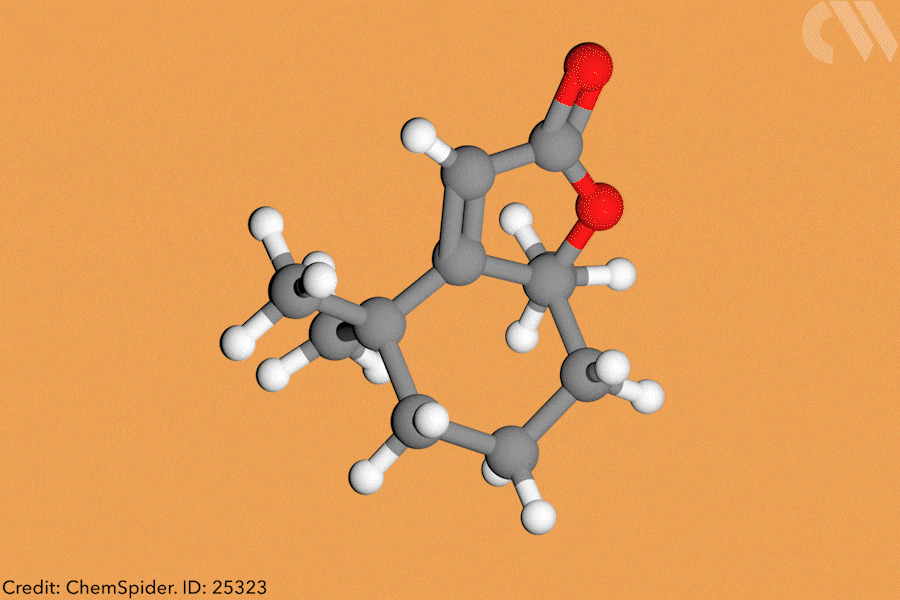 Spinning 3D gif shows dihydroactinidiolide molecule