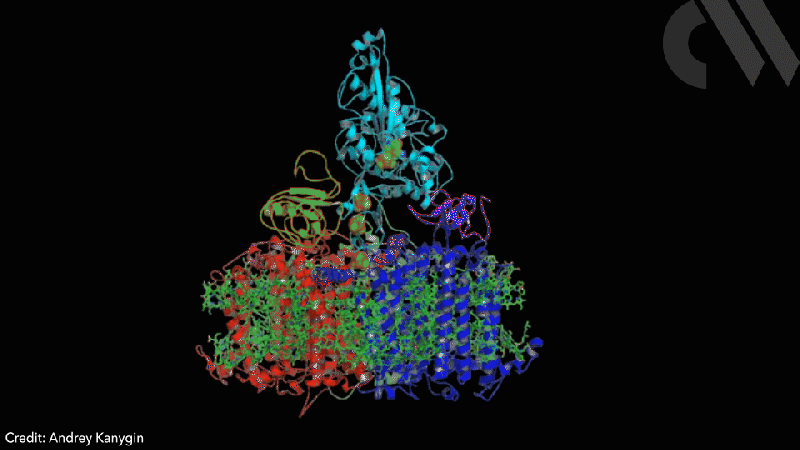 Spinning protein – Photosystem I-hydrogenase chimera