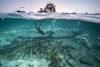 Half underwater shot of ship and Roman shipwreck