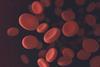An image showing red blood cells