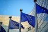 EU-flags-at-Brussels-HQ_shutterstock_162128453_300tb