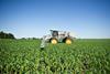 Corn crop sprayer