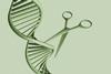 DNA editing