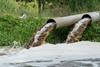 Wastewater
