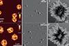 Three pairs of similar images three taken using microscopic techniques and three generated using AI