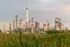 A chemical plant with grass in the foreground