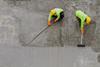 An image showing plasterer laying concrete cement with trowel