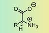 Zwitterion