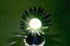 An artificial flower that opens when light is shined on it