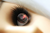 An image showing a photograph of the soft, smart contact lens on an eye of a mannequin