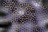 Graphene