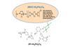 Chemical diagram showing the general formula for (NHC-H)₂Pd₂Cl₆ palladium complexes with a list of substituent variants, and two molecular models of (IPr-H)₂Pd₂Cl₆: one ball-and-stick and one wireframe representation.
