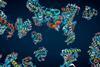An illustration of protein molecules