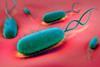 Illustration of helicobacter pylori on red background