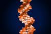 A DNA double helix