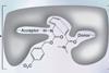 Diels-Alder-enzyme-410