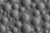 Microscopy image