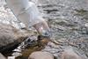 A photograph showing a gloved hand holding a vial to collect a water sample from a river