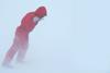 FEATURE-ANTARCTIC-375