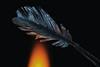An photo of a transparent glass feather held over a flame