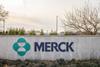 Merck