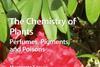 The-Chemistry-of-Plants_300m