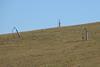 Methane vents at a landfill