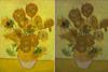 Van-Gogh-Sunflowers_630m
