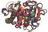 Polyester-making enzyme