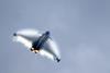 Fighter aircraft