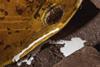 Liquid spills out of a rusty old barrel