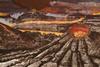 C0112027 Prehistoric volcanoes artwork