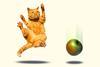 Cat and apple falling