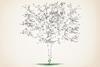 A young plant with mathematical formula forming a tree