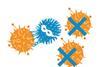 Macromolecules virus infographic 300tb