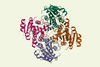 Carbonyl reductase