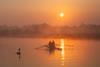 Two rowers and a swan in the mist