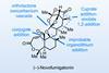 Novofumigatonin