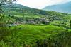 A village in the mountains of India surrounded by terraced farmland