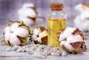 A vial of cottonseed oil with cottonseeds and cotton bolls