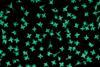 starshaped nanoparticles
