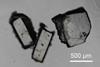 Three crystals with a scale showing they are about 300 to 500 micrometres across