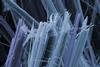SEM of asbestos fibres