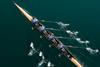 Image shows four male athletes sculling on lake in sunshine