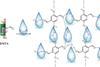 molecular glue for sensing water