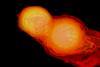 An image showing neutron stars colliding