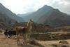 Chavin de Huantar