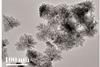 Transmission electron microscopy image of the new electrocatalyst