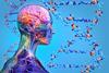 Human genome