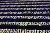 Sequencing the gene. Sequence of nucleotide bases in the decoded DNA molecule.
